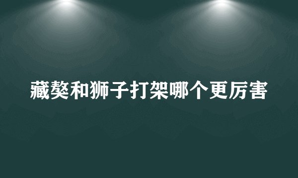 藏獒和狮子打架哪个更厉害