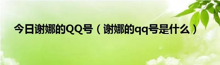 今日谢娜的QQ号（谢娜的qq号是什么）