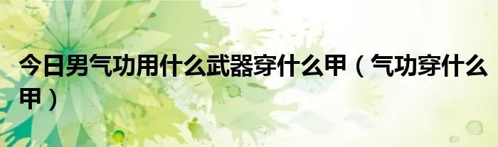 今日男气功用什么武器穿什么甲（气功穿什么甲）