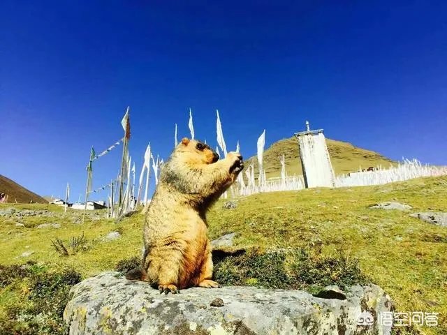 你觉得国内哪些旅游景点是摄影创作团队最爱去的?
