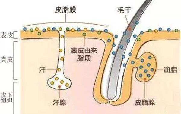 现在男士用什么沐浴露比较好