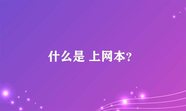 什么是 上网本？