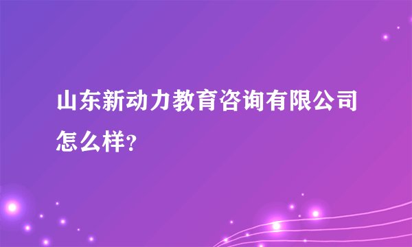 山东新动力教育咨询有限公司怎么样？