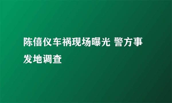 陈僖仪车祸现场曝光 警方事发地调查