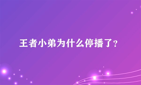 王者小弟为什么停播了？