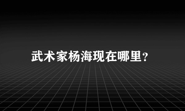 武术家杨海现在哪里?