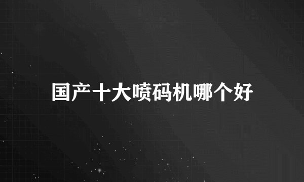 国产十大喷码机哪个好