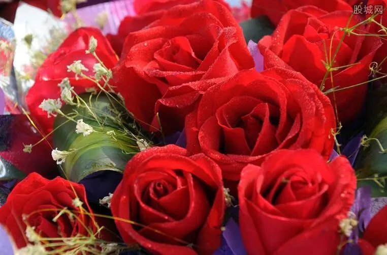 七夕玫瑰花多少钱一朵 情人节鲜花一般什么价?