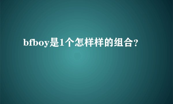 bfboy是1个怎样样的组合？