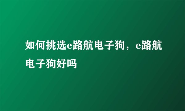 如何挑选e路航电子狗，e路航电子狗好吗