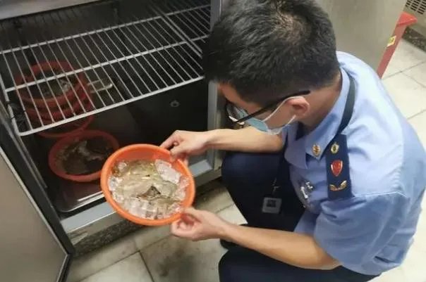 胖哥俩在执法人员检查前丢弃食材 吃死螃蟹有什么危害