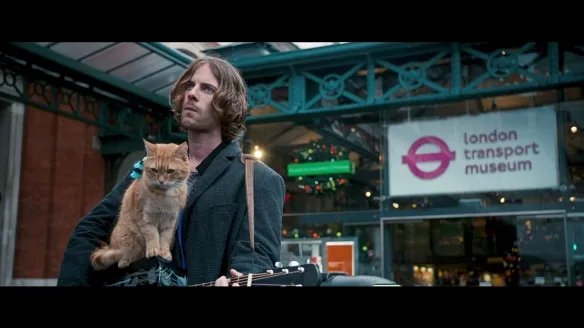 感动无数人的《流浪猫鲍勃》中的原型鲍勃去世!
